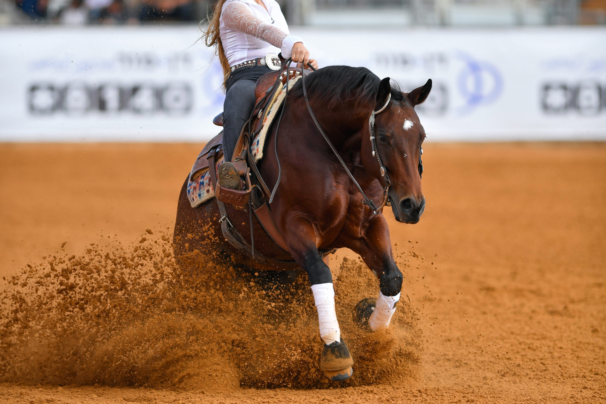 Feeding The Western Performance Horse Performance Horse Nutrition