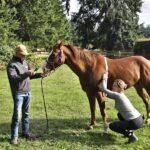 Dr. Duren with Heritage Vet Dr Ana Kidder Courtesy of LMF Feeds®